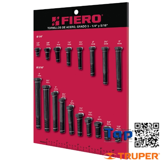 Imagen de EXHIBIDOR FIERO TORNILLOS #1 GRADO 5
