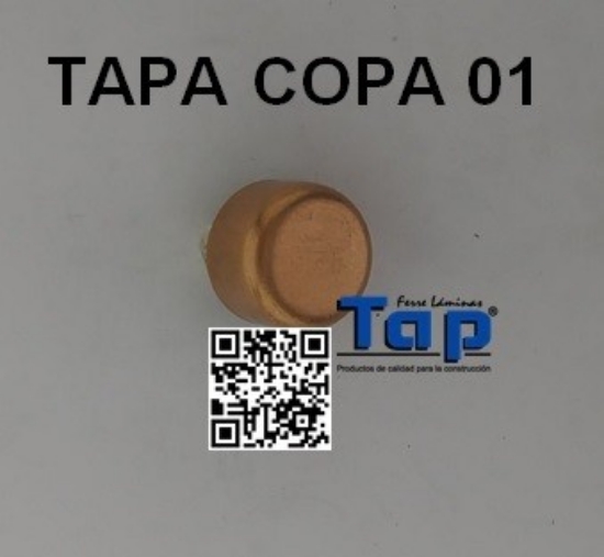 Imagen de TAPA COPA 01