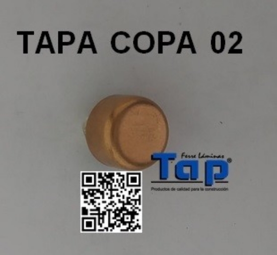 Imagen de TAPA COPA 02