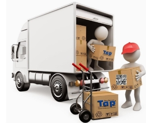 Imagen para la categoría 510 SERVICIOS