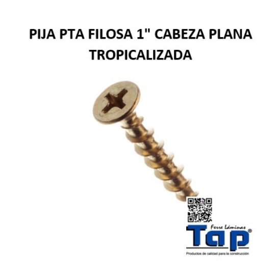 Imagen de PIJA PTA FILOSA 1" CABEZA PLANA TROPICALIZADA